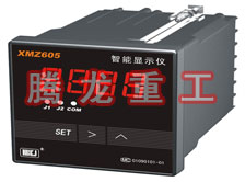 溫度表、數(shù)字顯示儀、濕度表