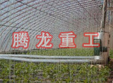 大棚花卉供暖設備、大棚卉采暖設備、大棚花卉取暖設備